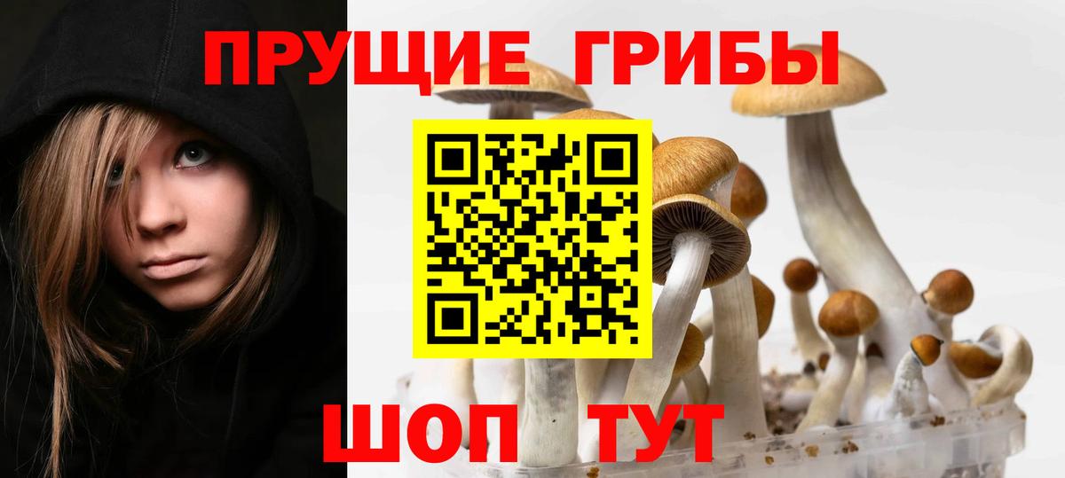 Псилоцибиновые грибы Psilocybine cubensis  Вход с VPN  купить наркотик  Чебаркуль 