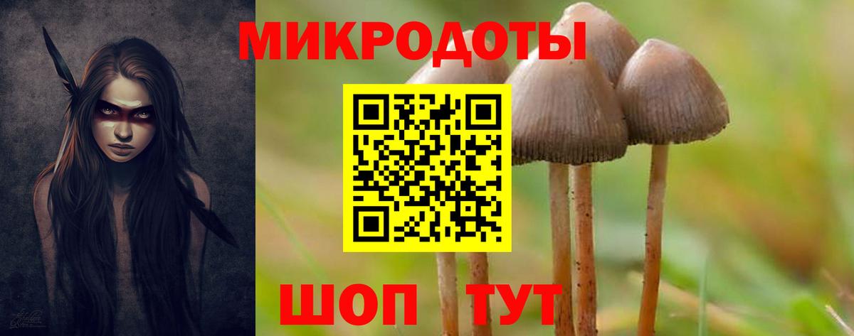Псилоцибиновые грибы Cubensis Чебаркуль